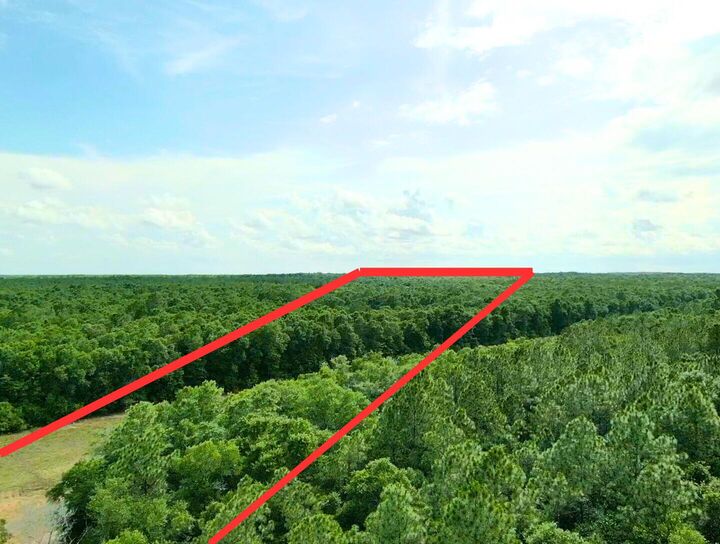 Property Photo: 7.97 Acres Lake Ella Rd Road FL 32539