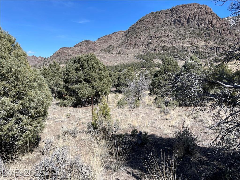 Property Photo: Unknown NV 89301