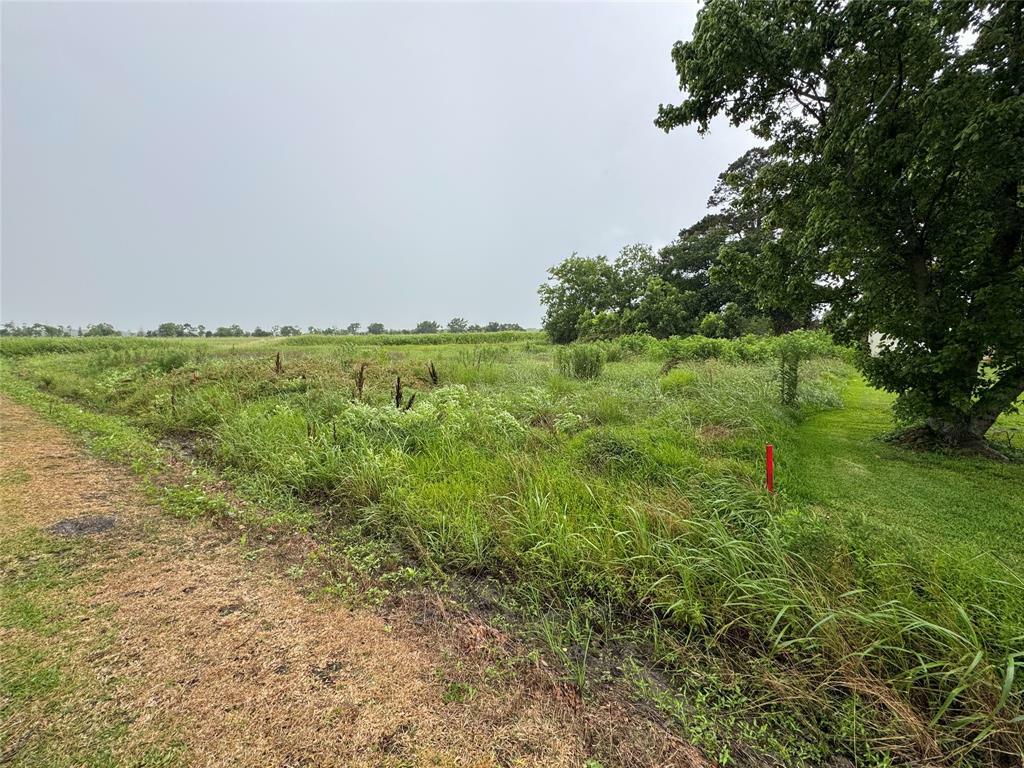 Property Photo: 0 County Road 119 TX 77575
