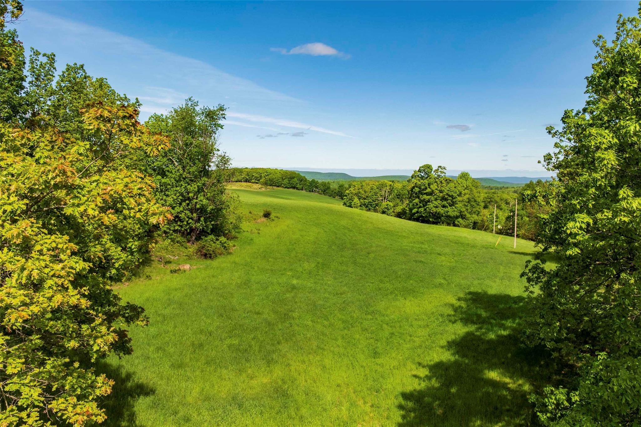 Property Photo:  15 Red Rock Road  NY 12489 
