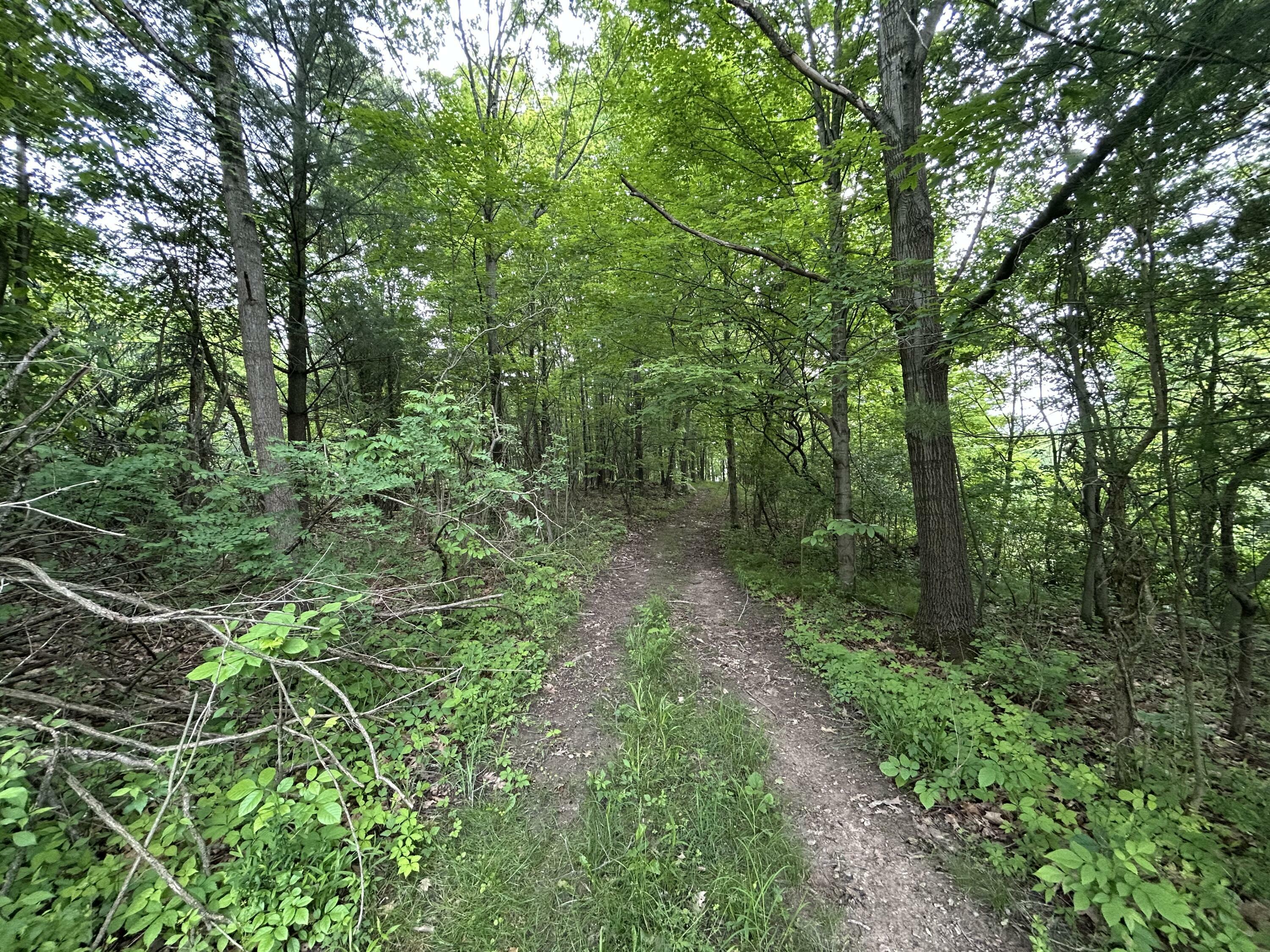 Property Photo:  1687 Dimmers Road  MI 49274 