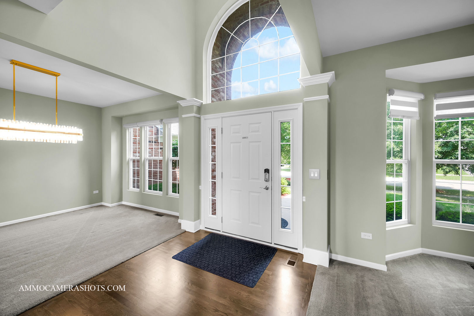 Property Photo:  351 Tiger Street  IL 60490 