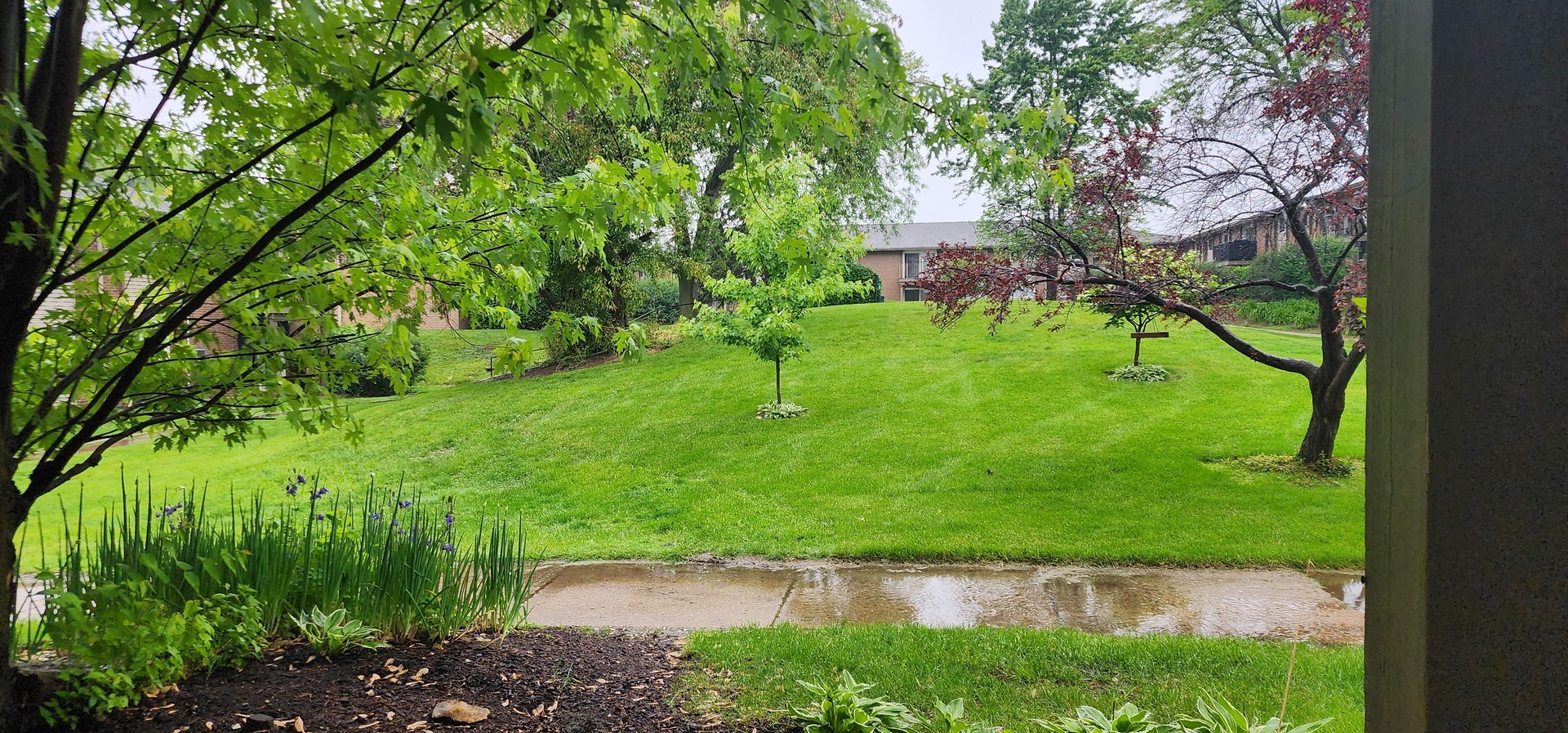Property Photo:  2300 Beau Monde Lane 103  IL 60532 