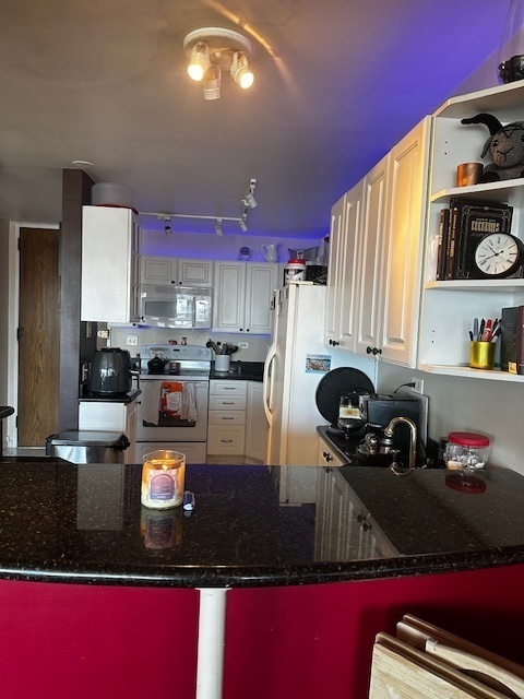 Property Photo: 720 W Gordon Terrace 10L IL 60613