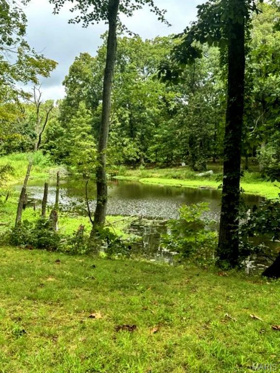 Property Photo: 2562 State Route 161 IL 62801