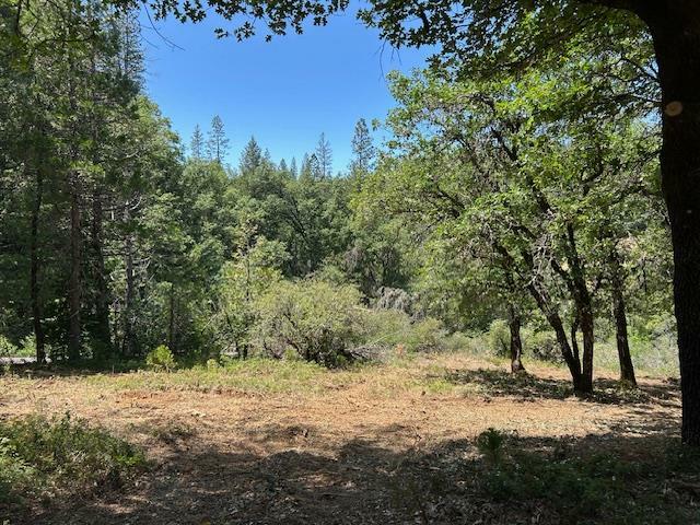 Property Photo:  12999 Pearson Road  CA 95945 