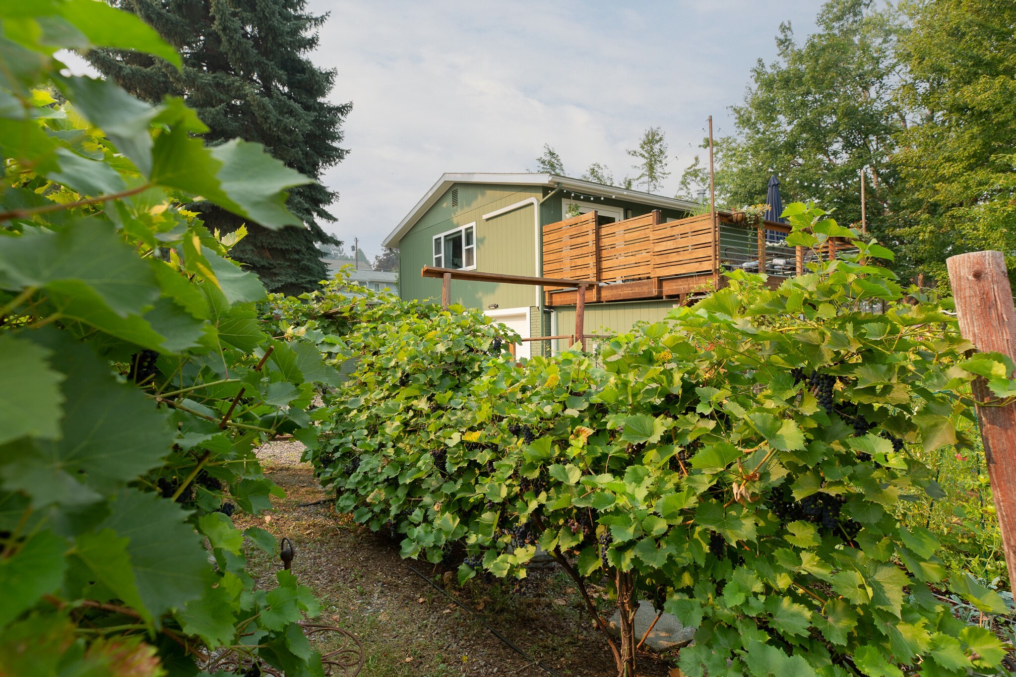 Property Photo: 2728 South Hills Drive MT 59803