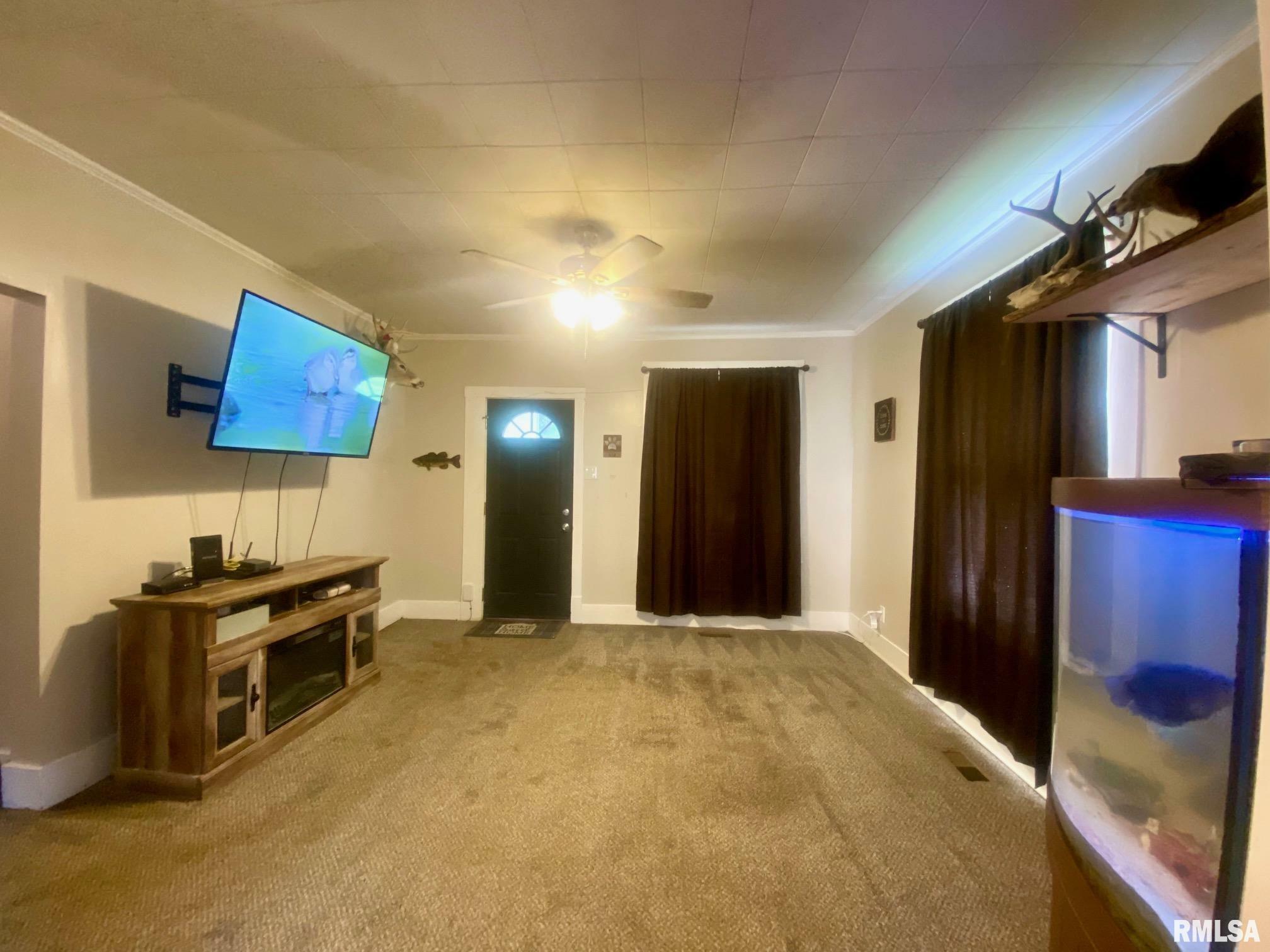 Property Photo: 501 N 18th Street IL 62948