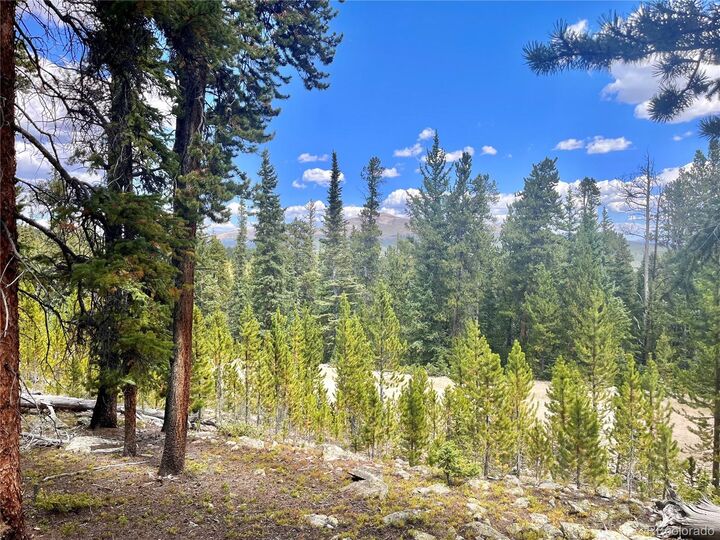Property Photo: 676 Dry Gulch Road CO 80440