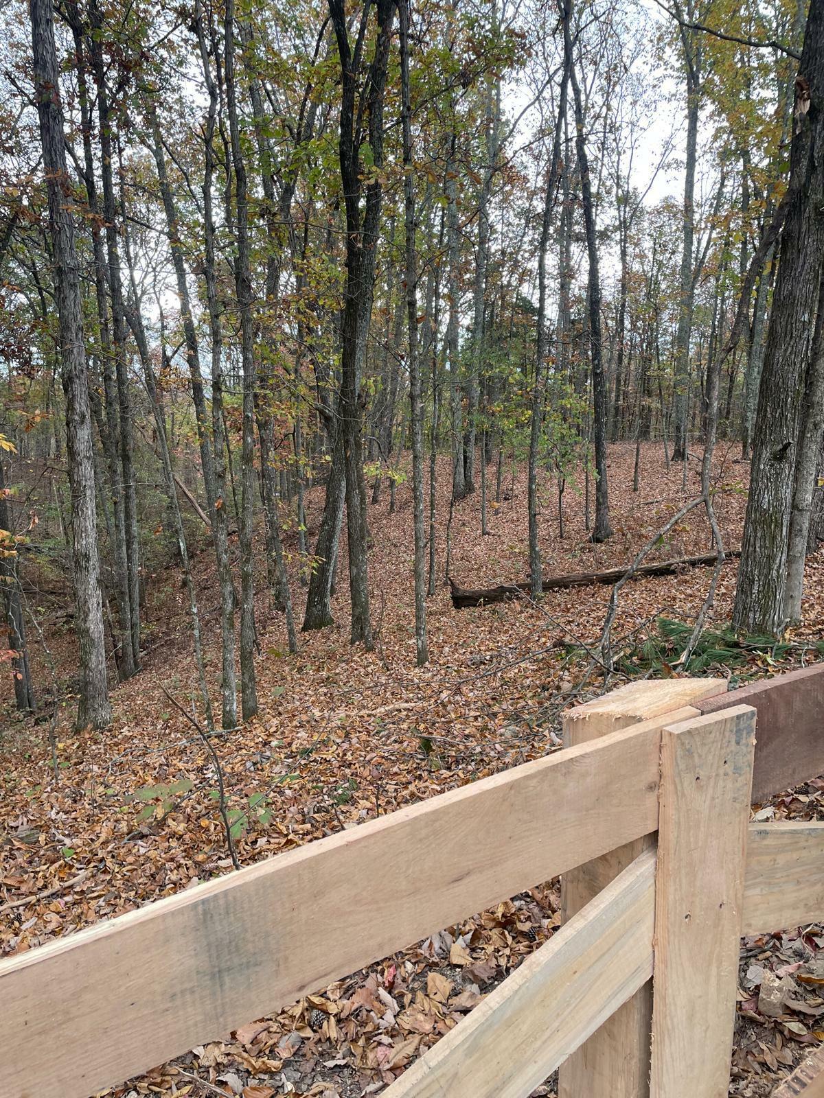 Property Photo: 1132 Sneed Rd (Lot 1) Road TN 37322