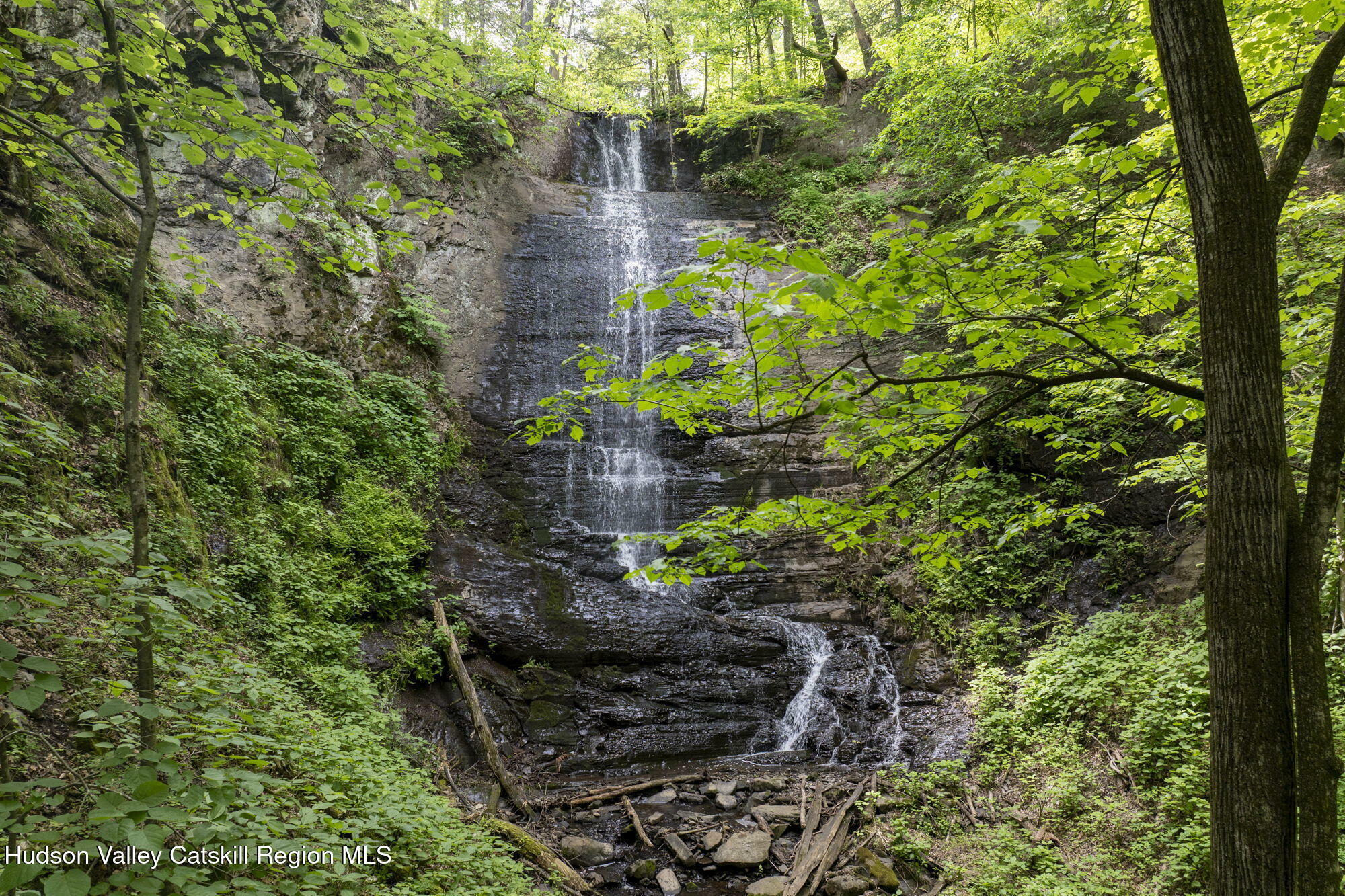 Property Photo: 111 Ridgeway NY 12414