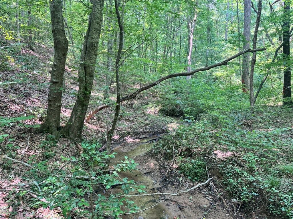 Property Photo: 0 N Jenkins Bridge Road SC 29693