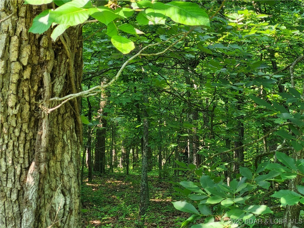 Property Photo: Kean Lane Lot 2371 MO 65326