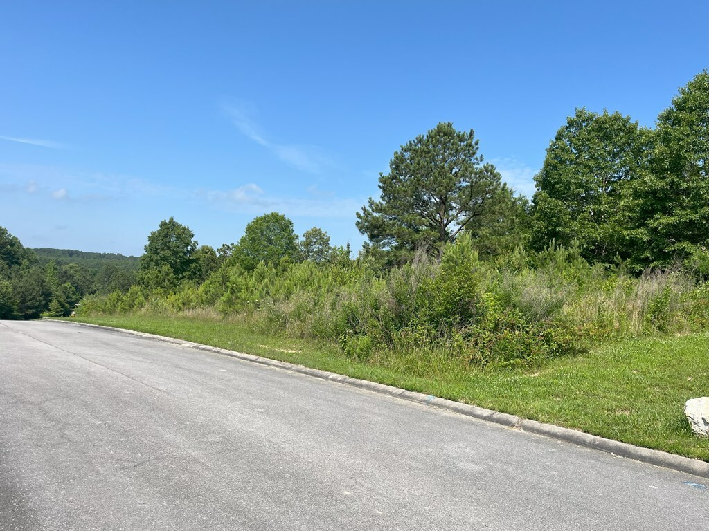 Property Photo: 0 Stonegate Place GA 30710