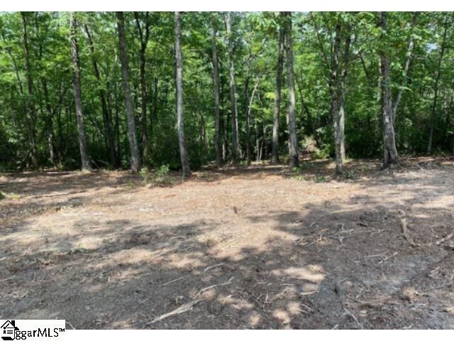 465 Highridge Parkway  Marietta SC 29661 photo