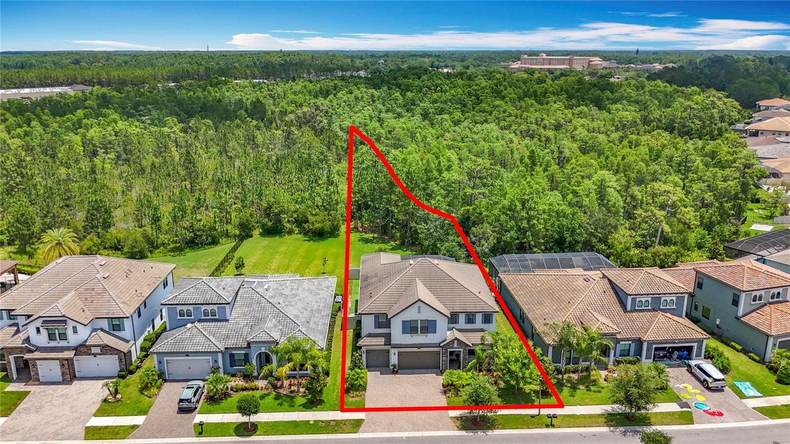 Property Photo: 18203 Pine Hammock Boulevard FL 33548