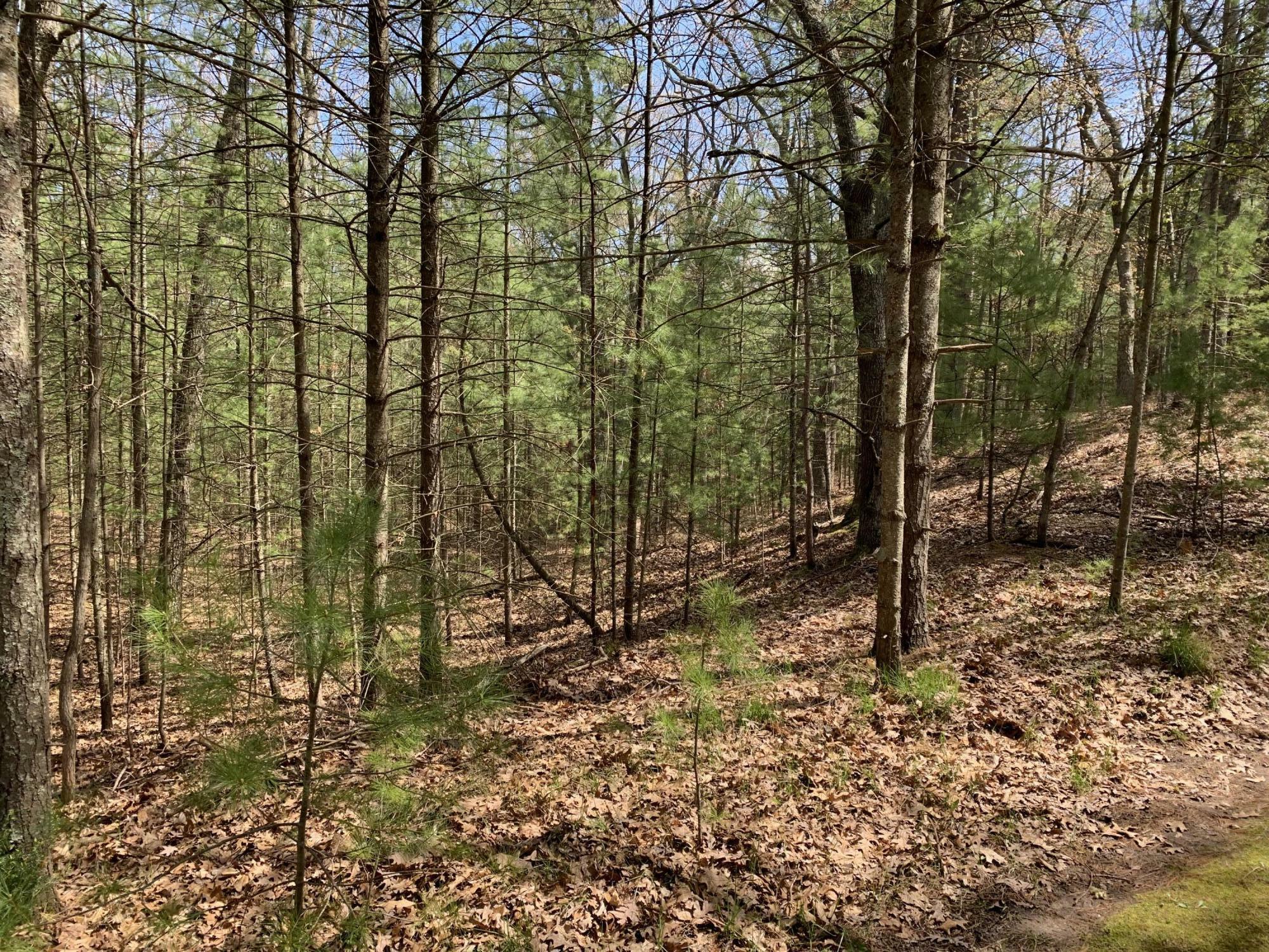 Property Photo: Lenox Avenue MI 49449