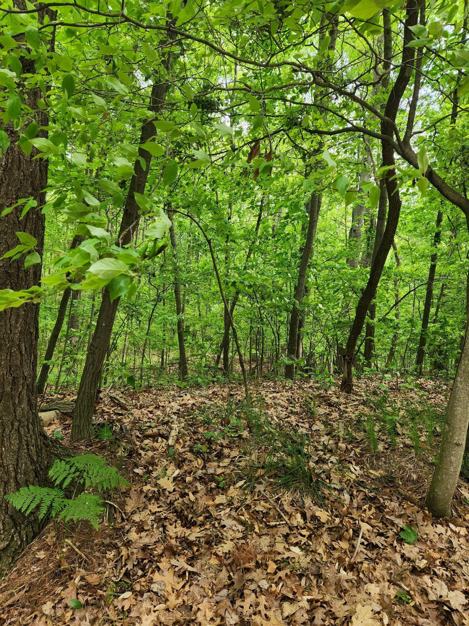 Property Photo: Vl Pretty Lake Drive MI 49332