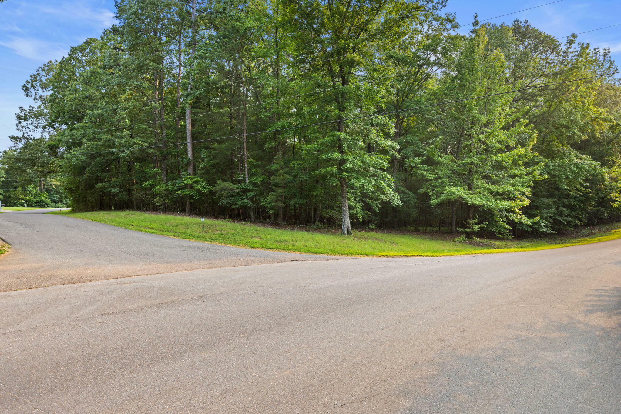 Property Photo: Lot 178 Sandpiper Point TN 38326