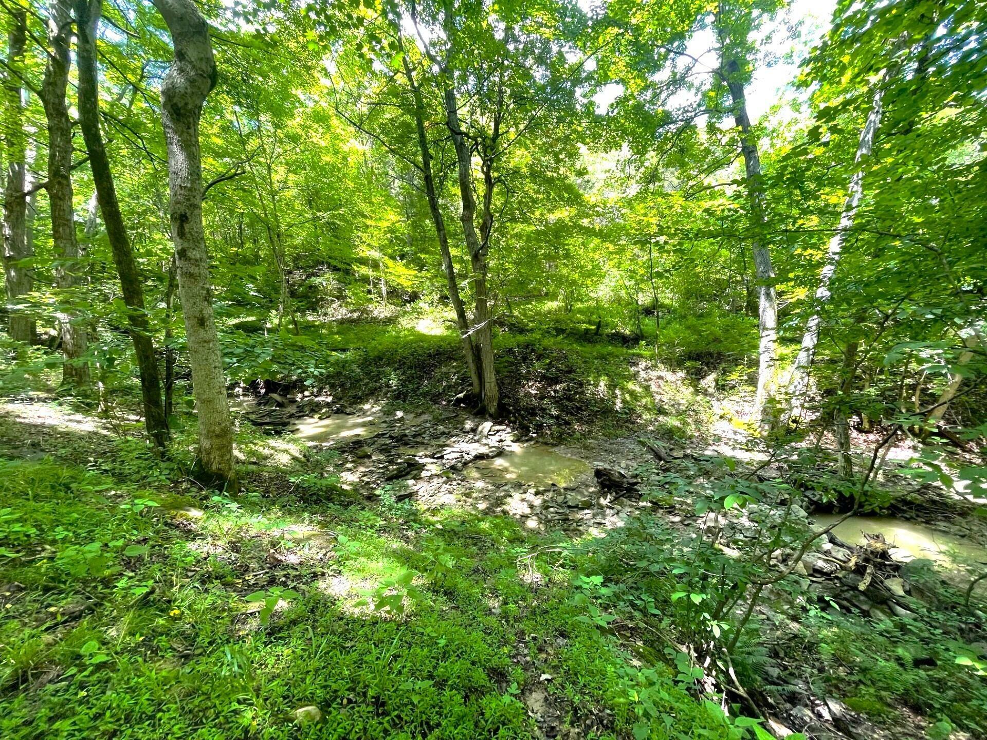 Property Photo: 0 Lenoxburg Foster Road KY 41043