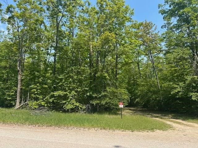 Property Photo: 6724 Rustic Pine MI 49749
