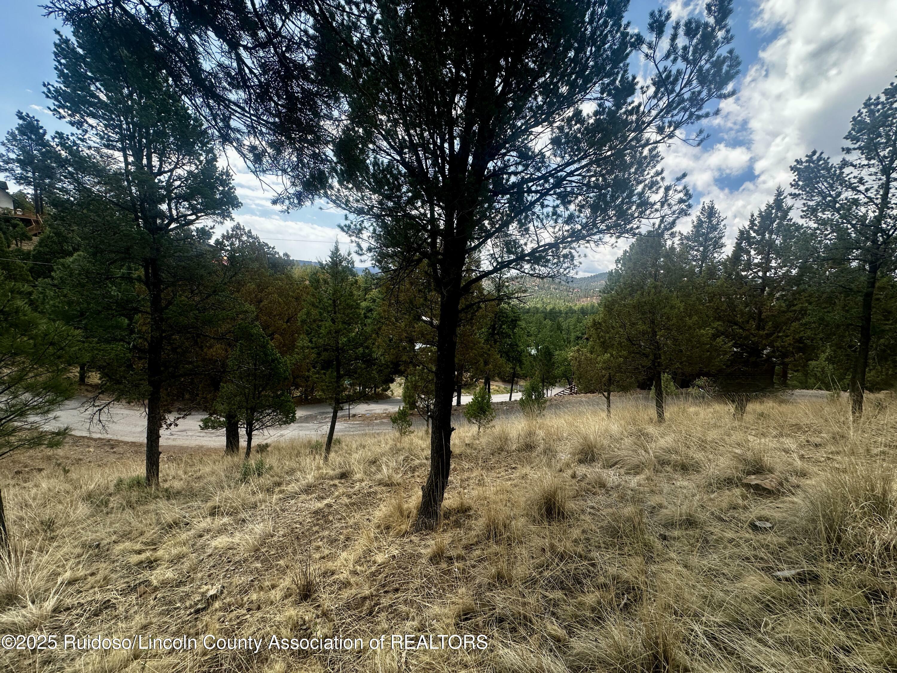 Property Photo: 200/202 W Redwood Drive NM 88345