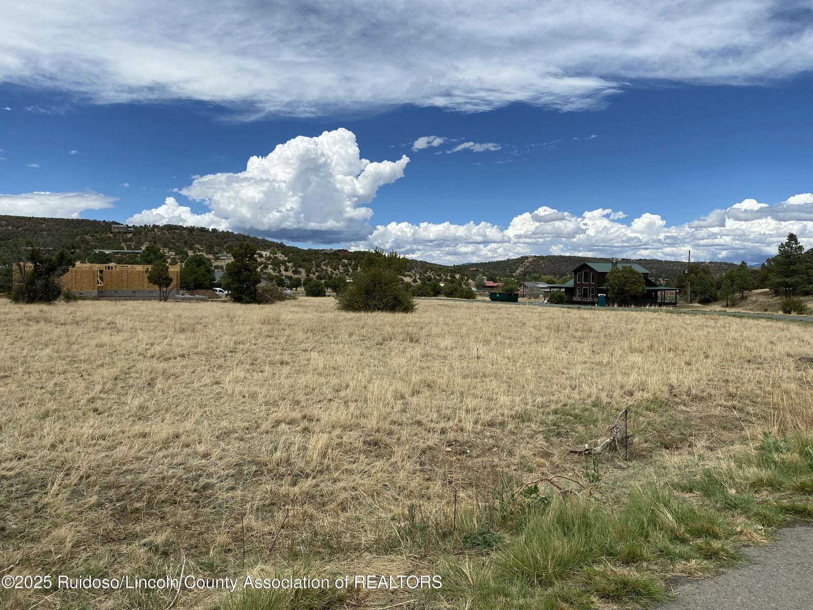 Property Photo:  Lot 263 Saddleback Road  NM 88312 