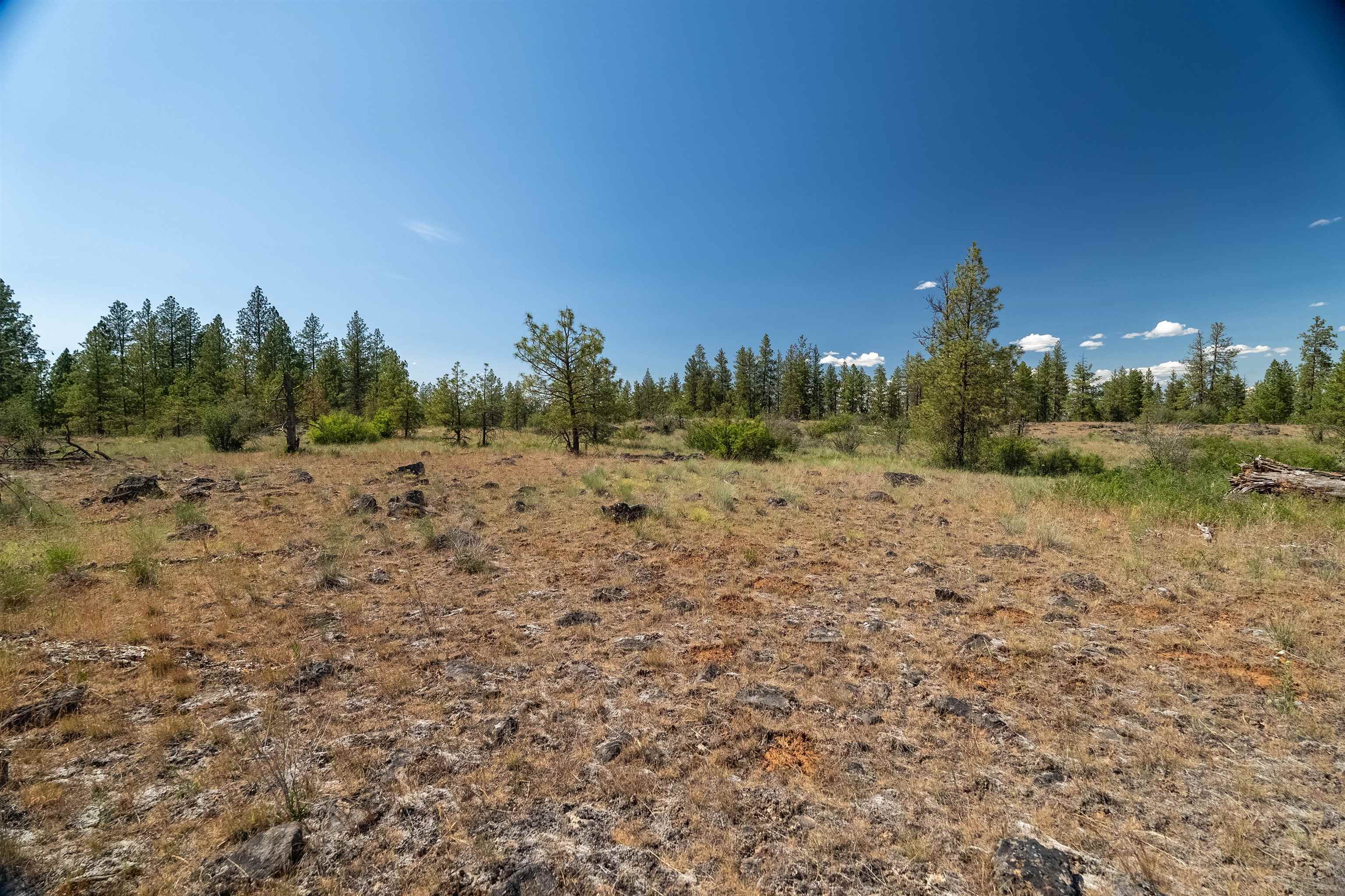 Property Photo: Nka W Anderson Rd WA 99004