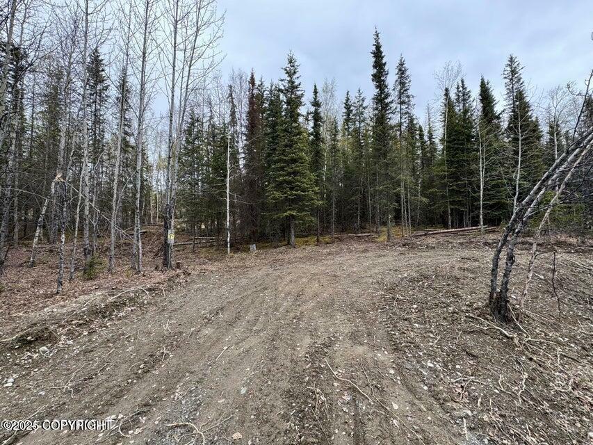 Property Photo: 37050 Future Avenue AK 99672