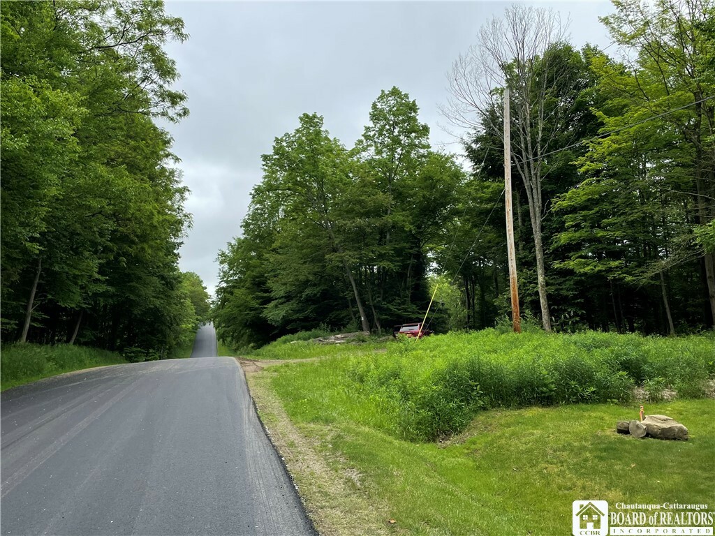Property Photo:  0 Luce Road  NY 14712 