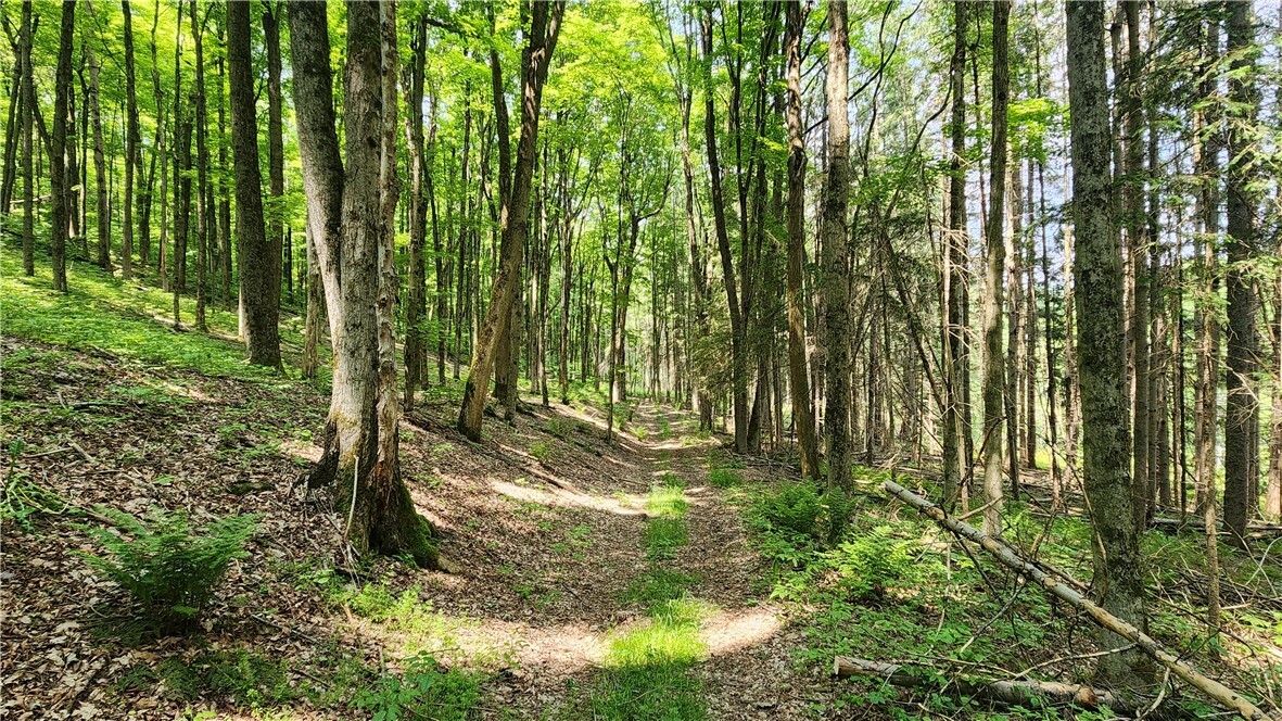 Property Photo: 8306 Pardee Hollow Road NY 14472