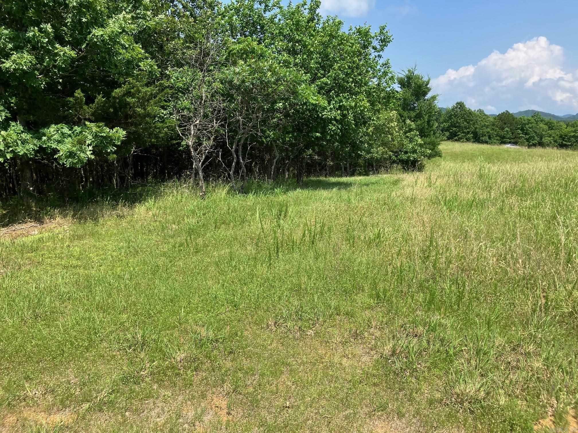 Property Photo: Tbd Tract 1 Thompson Creek Lane AR 71953