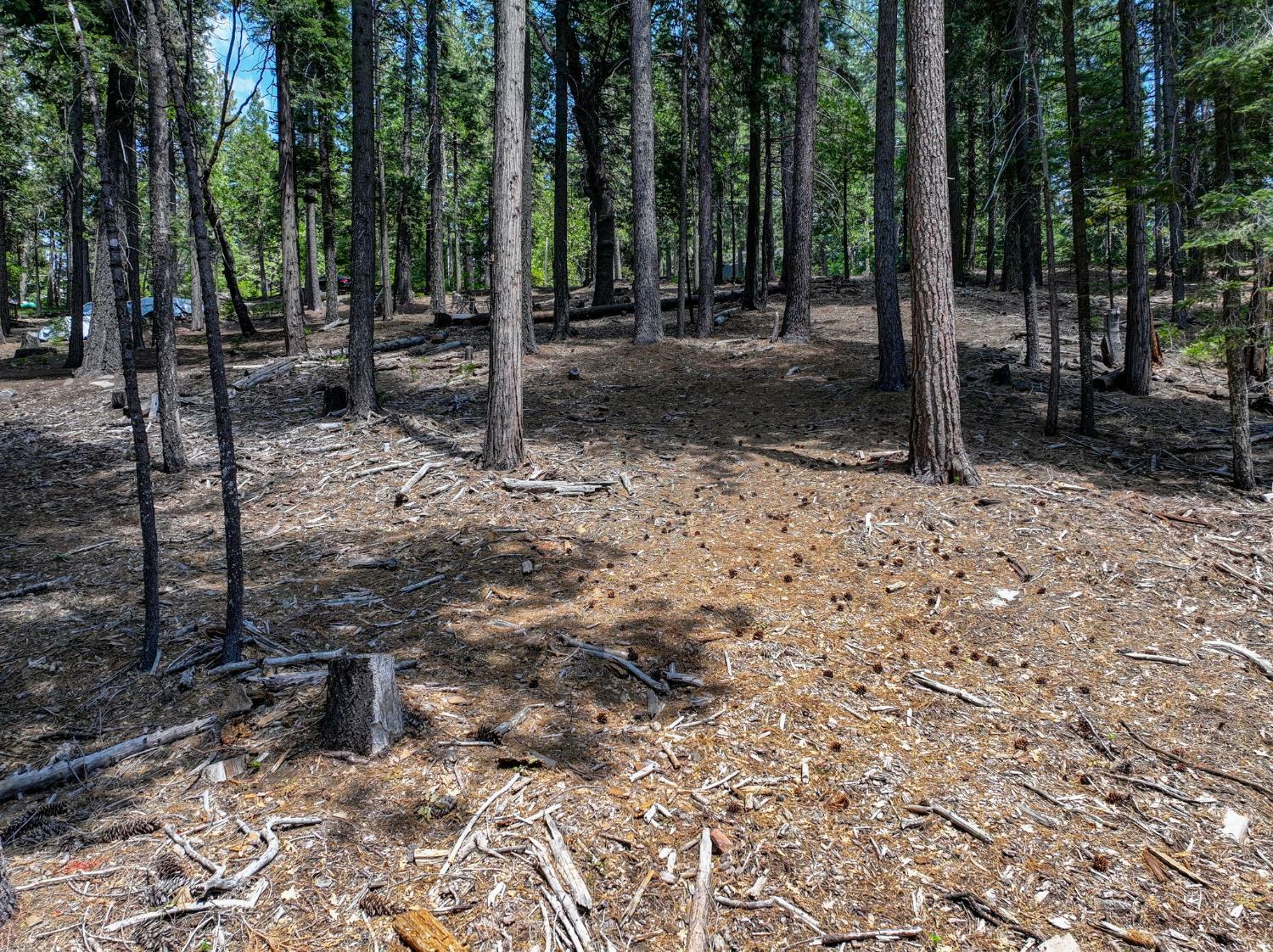 Property Photo: 4741 Meko Drive CA 95223