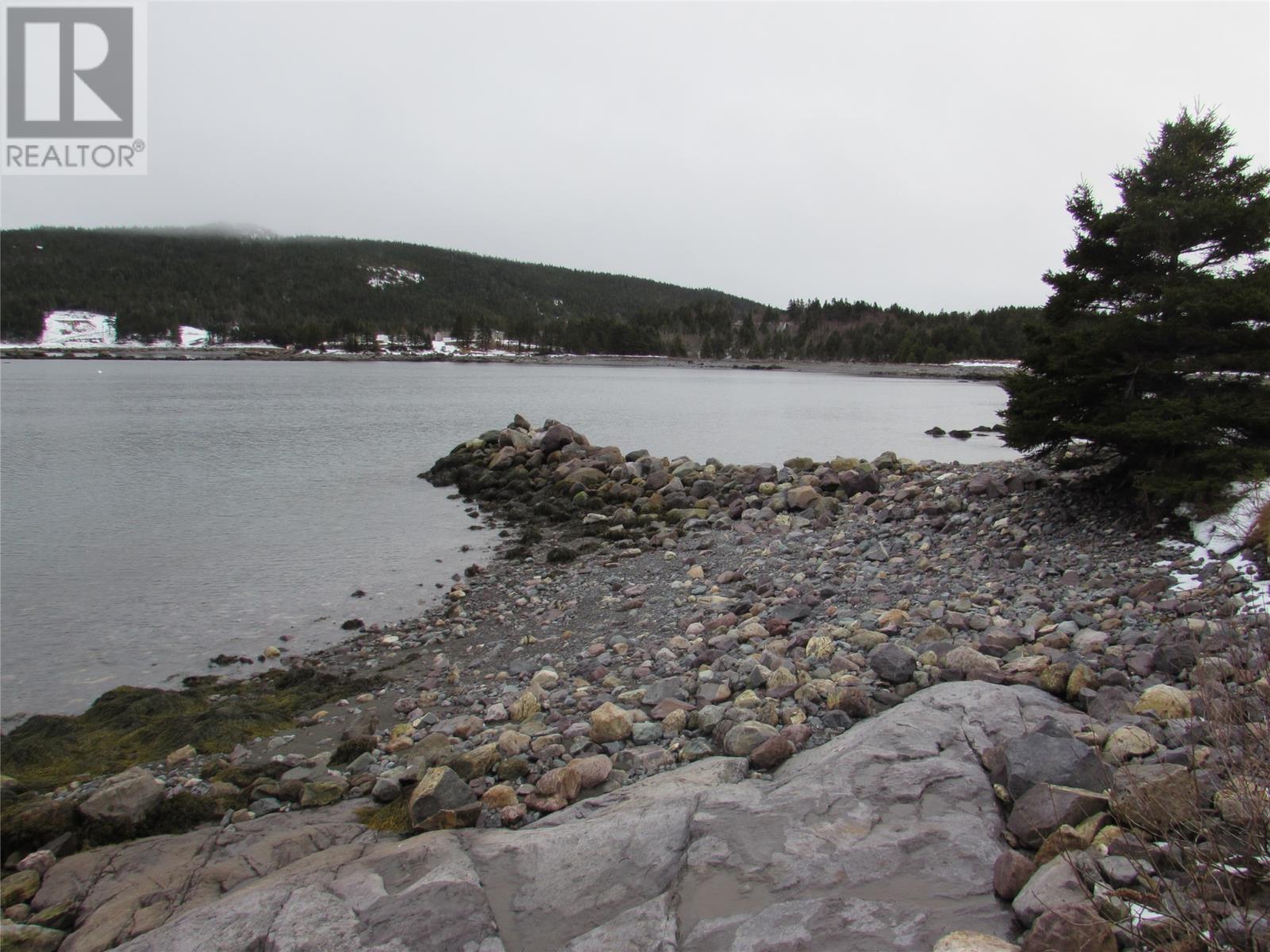 Property Photo:  43 Cove Road  NL A0A 1Y0 