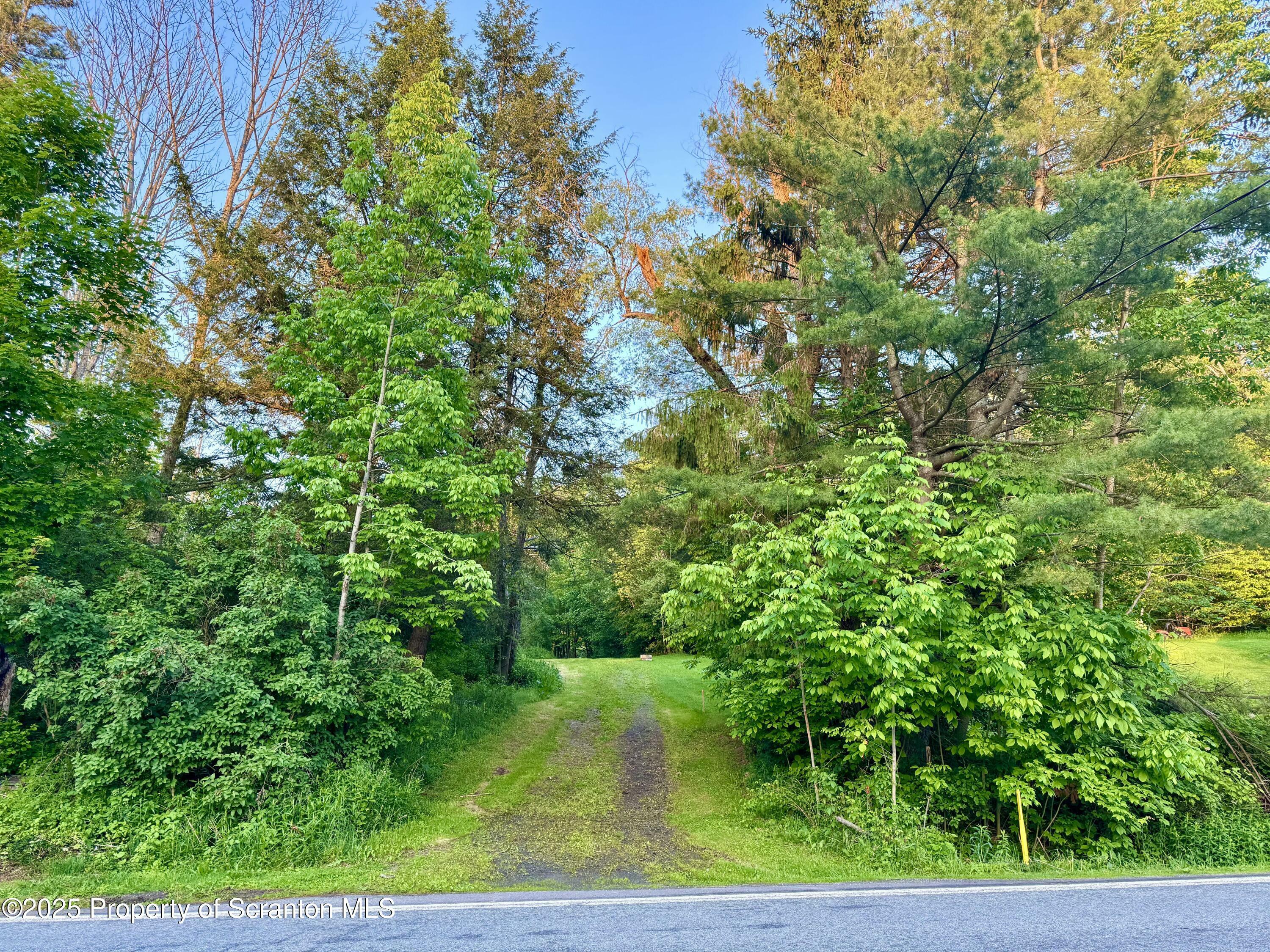 20668 State Route 171 Route  Susquehanna PA 18847 photo