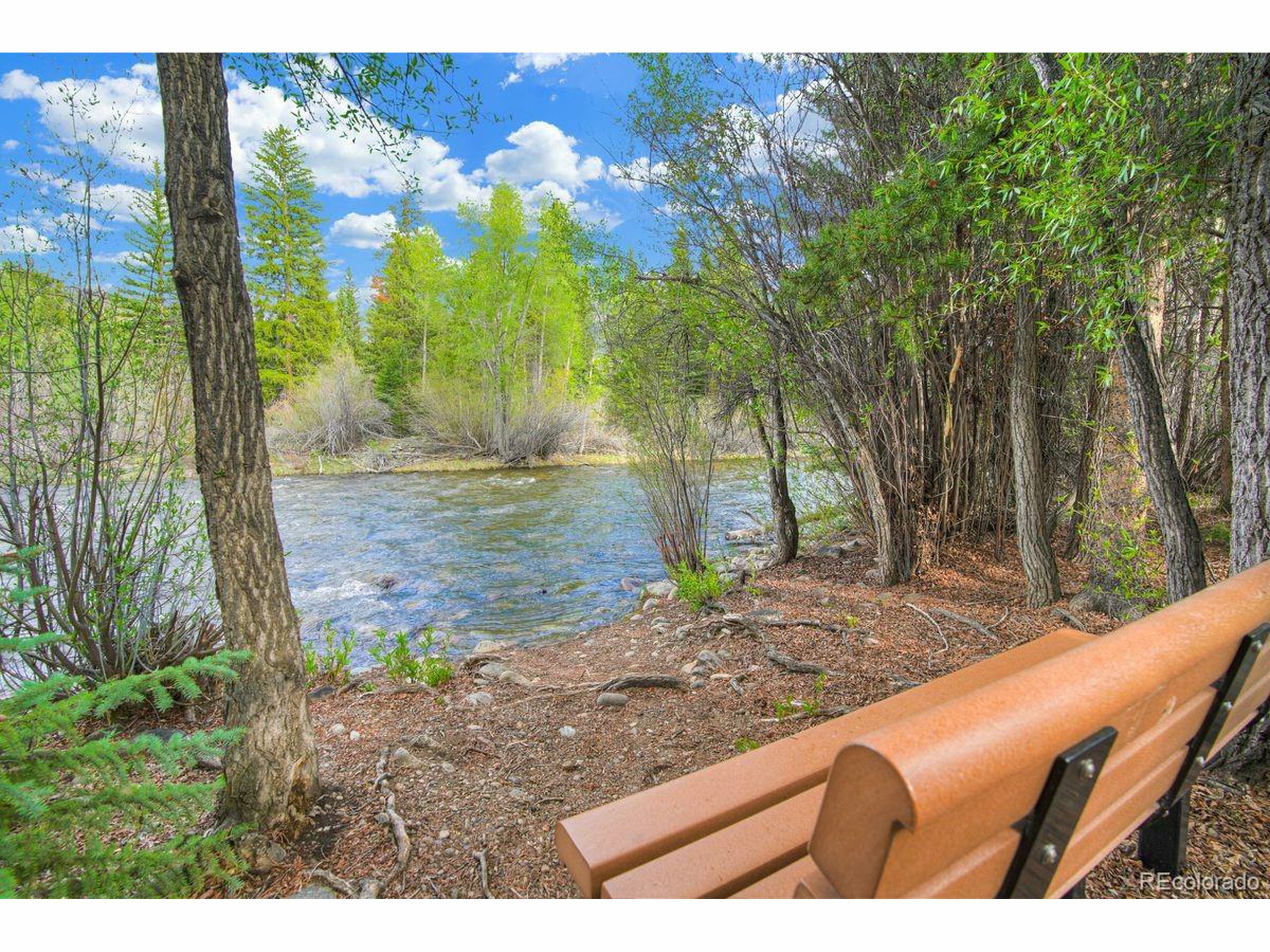 Property Photo: 180 Robin Dr 180 CO 80498