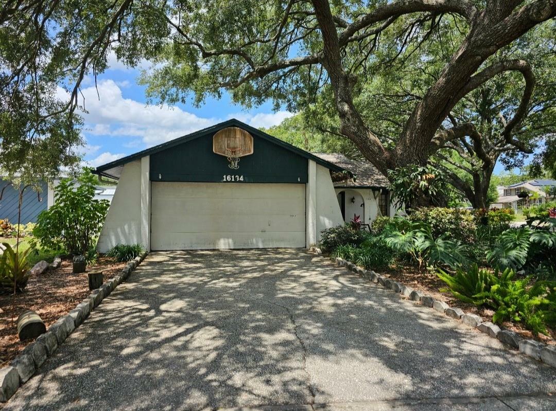 Property Photo: 16134 Ravendale Drive FL 33618