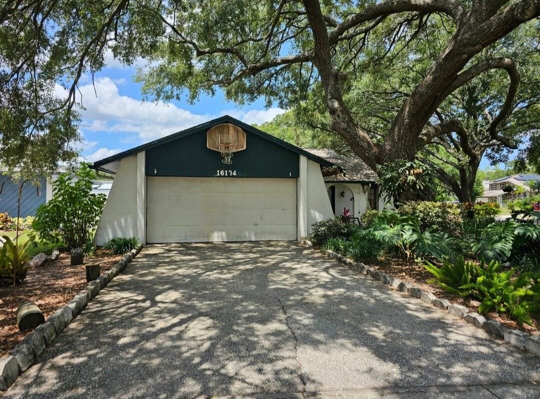Property Photo: 16134 Ravendale Drive FL 33618