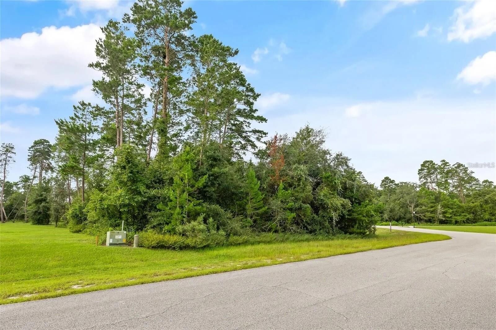 Property Photo: 13615 Gopher Pond Ct FL 34669