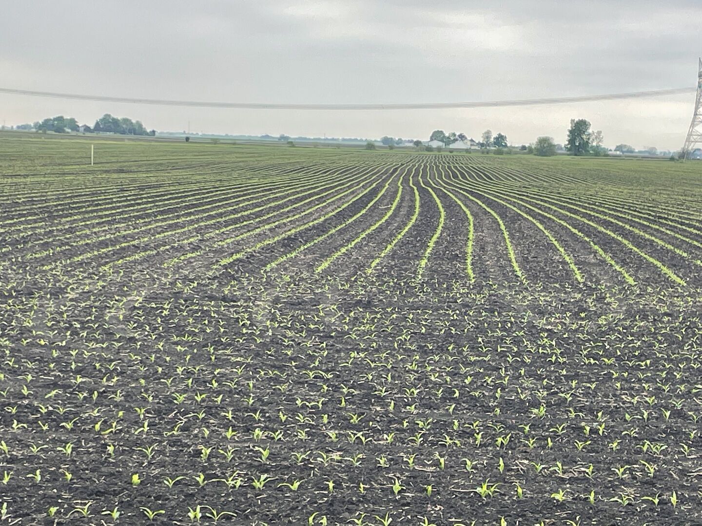 Property Photo: 15781 Brisbin Road IL 60447