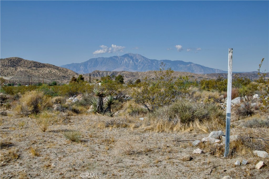 0 Big Morongo  Morongo Valley CA 92256 photo