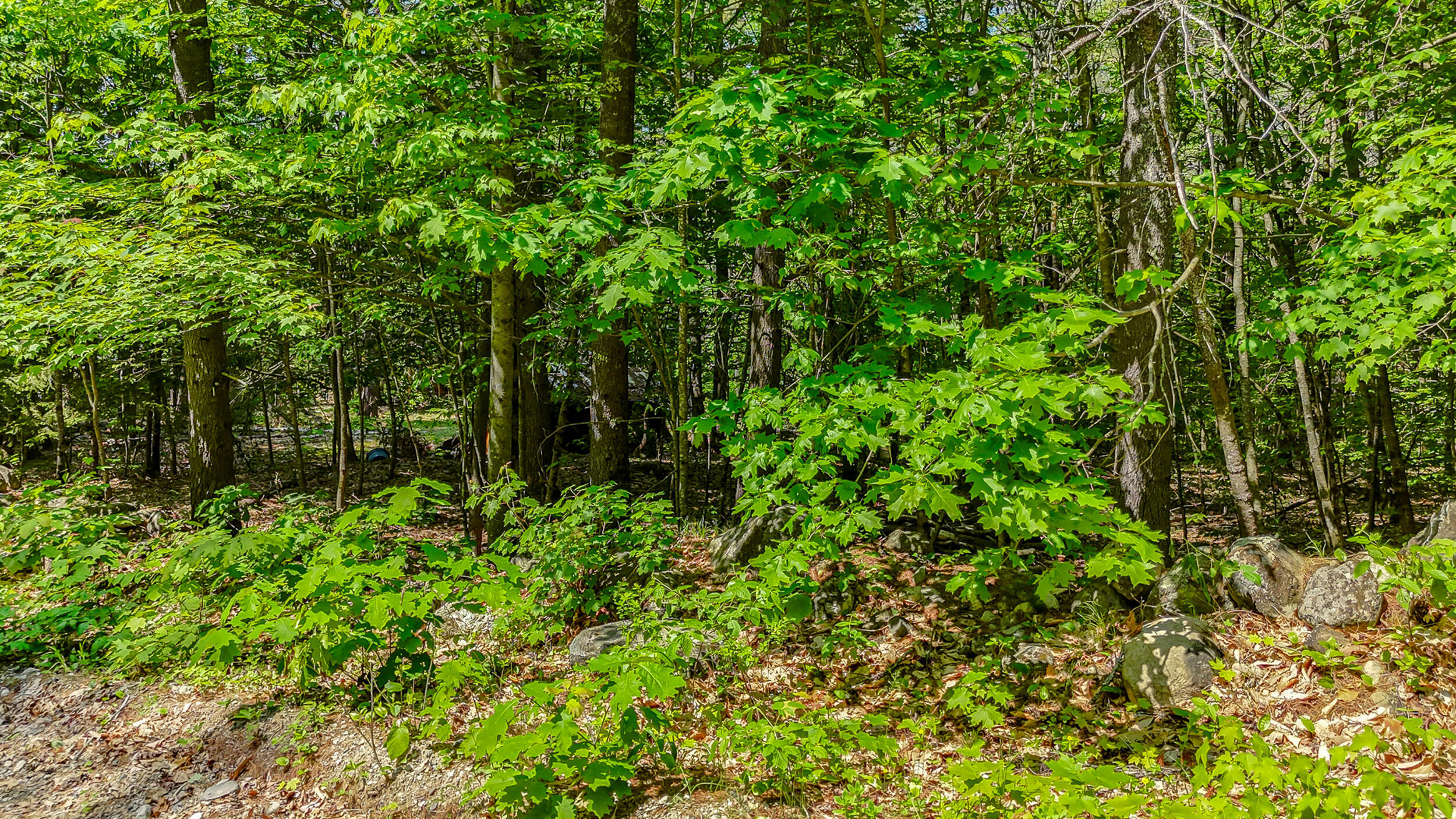 Property Photo:  0 Milliken Road  ME 04047 