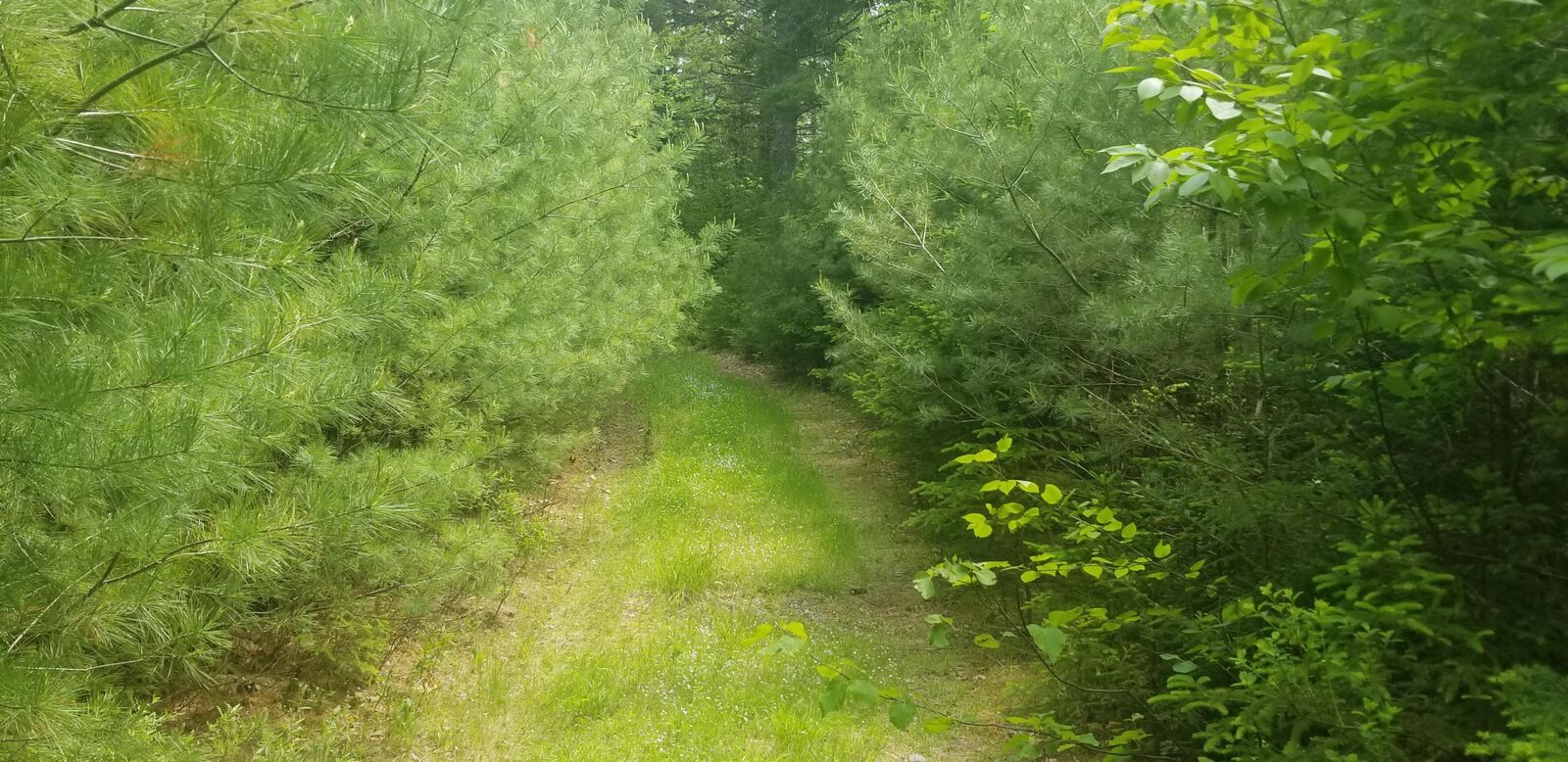Property Photo: M13, L36, Harland Cunningham Road ME 04476