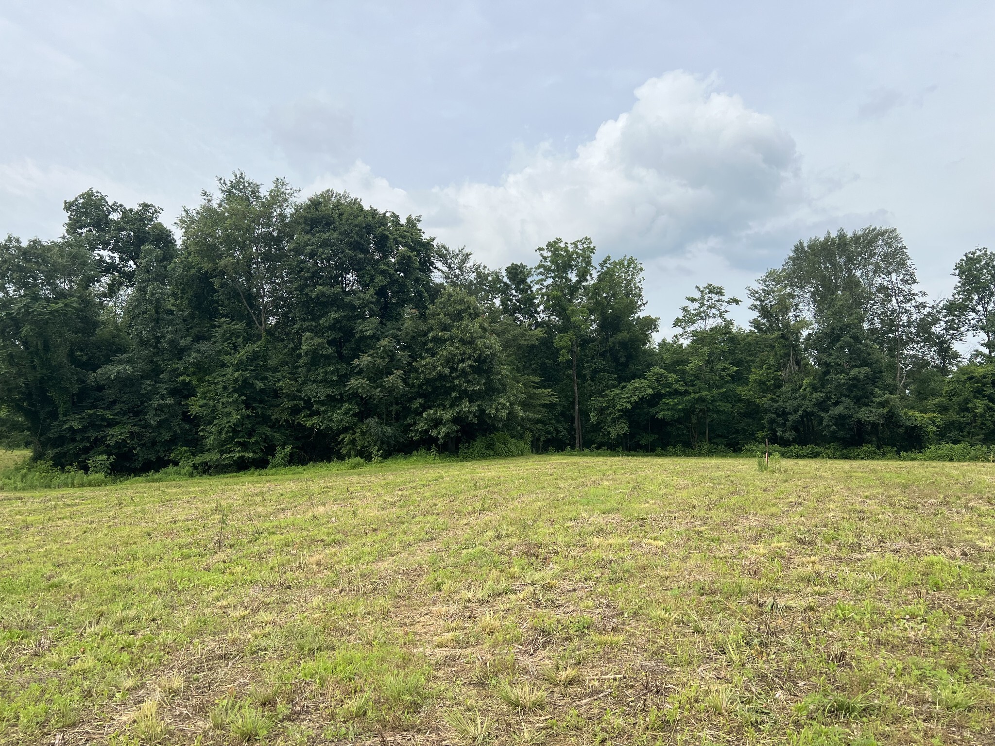 Property Photo:  19 Annie Hollow Rd  TN 37186 
