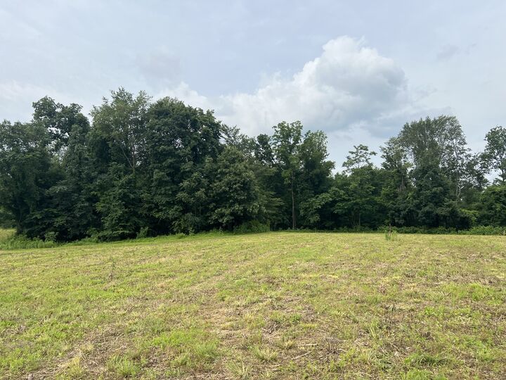 Property Photo:  19 Annie Hollow Rd  TN 37186 