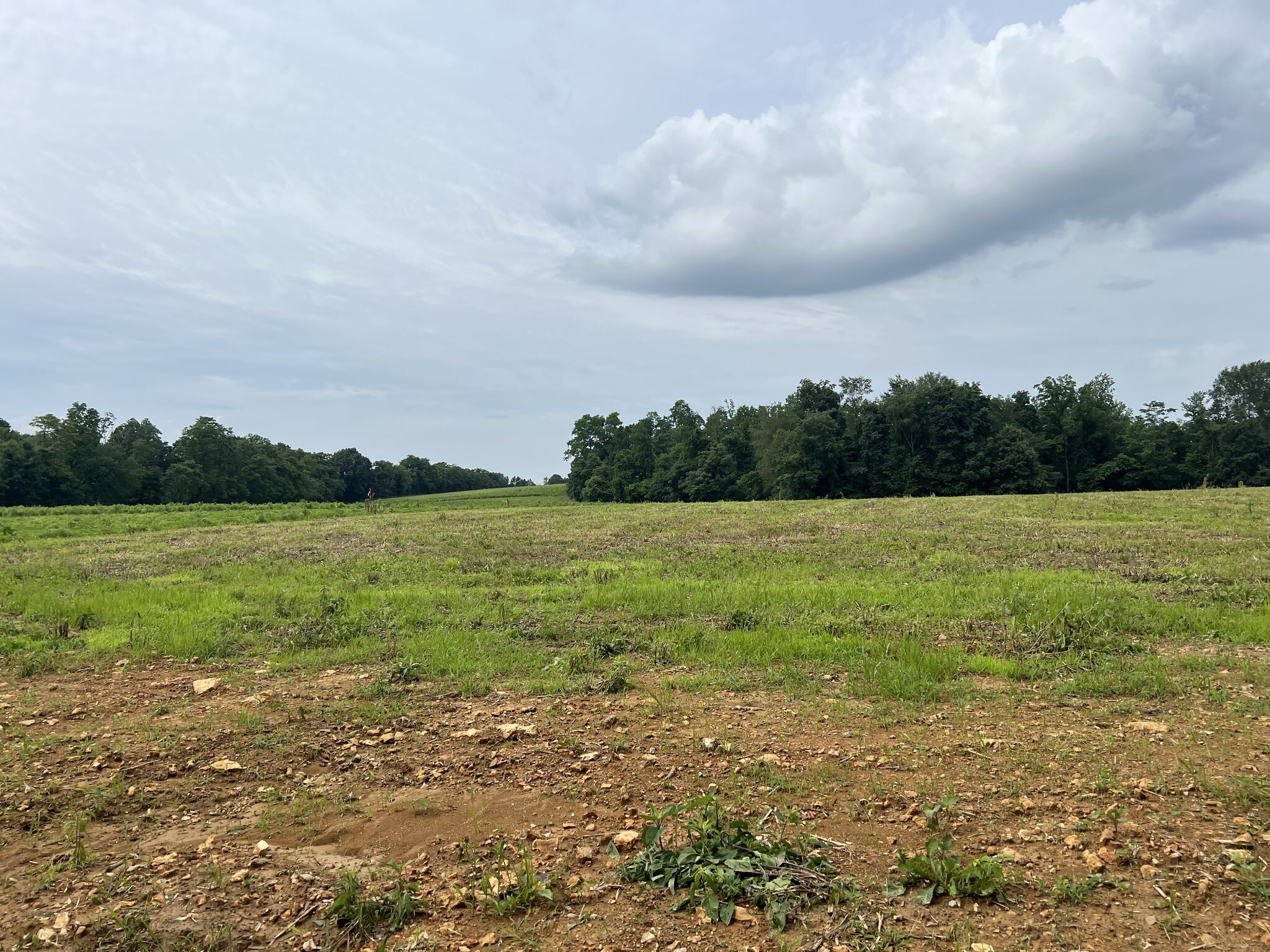 Property Photo:  18 Annie Hollow Rd  TN 37186 