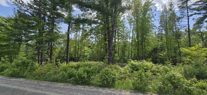 Property Photo:  Lot 24-6 East Clifford Road  NS B4V 7R8 