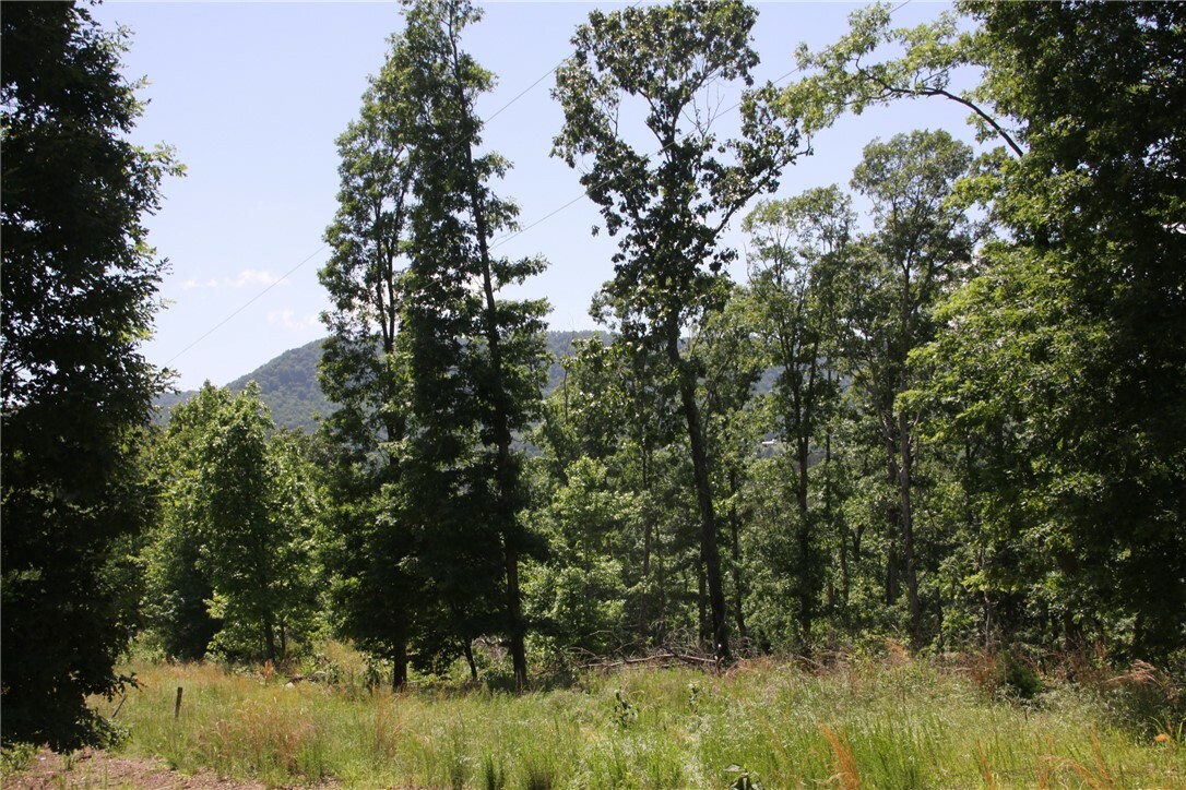 Property Photo:  4901 County Road 263  AR 72655 