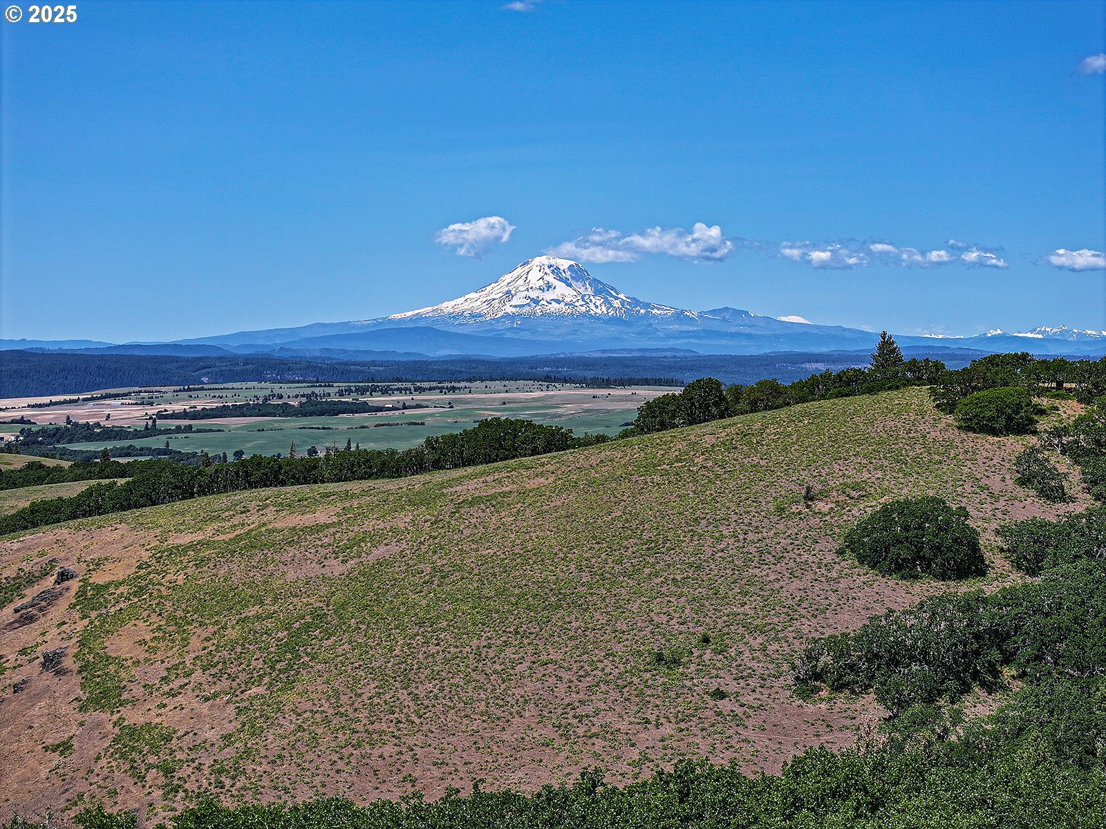Property Photo: Stacker Butte Rd WA 98635