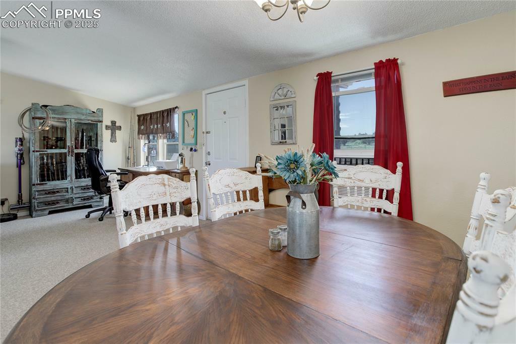 Property Photo:  295 5th Street  CO 81240 